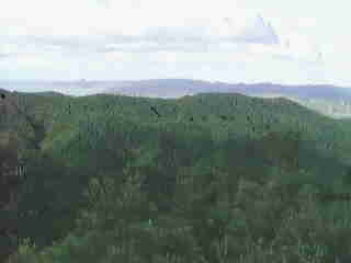 Castle Rock -- looking toward Mercury Bay (on the left)