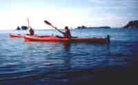 Paddling across the marine reserve