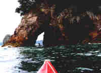 Through the Motueka Island sea cave!